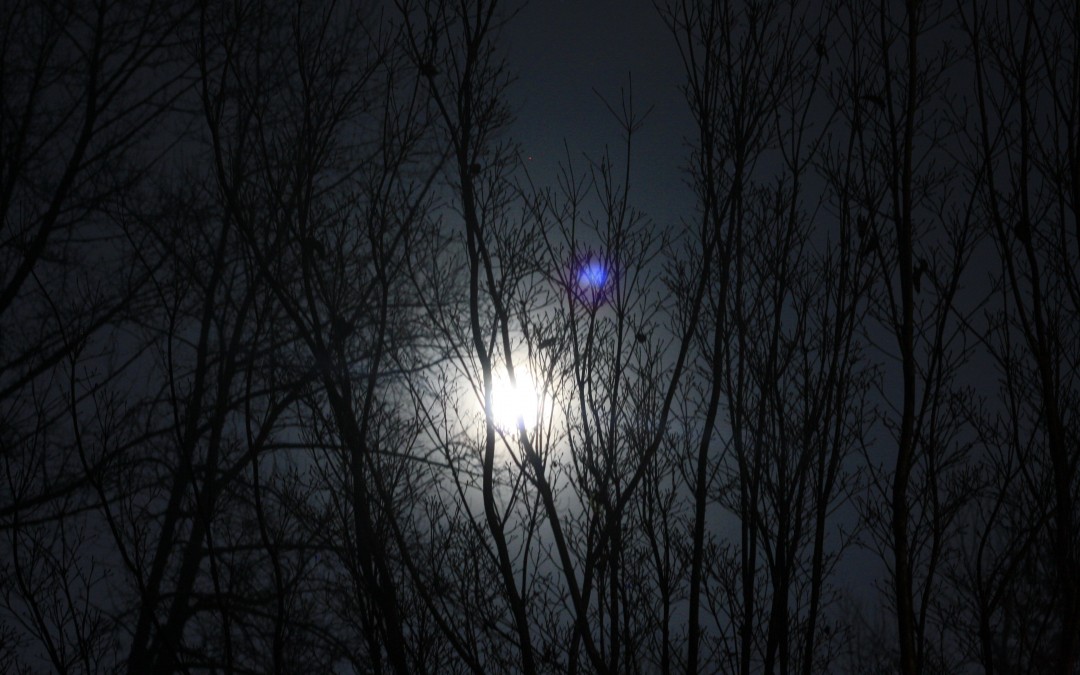 January 16th – Radiant Moon