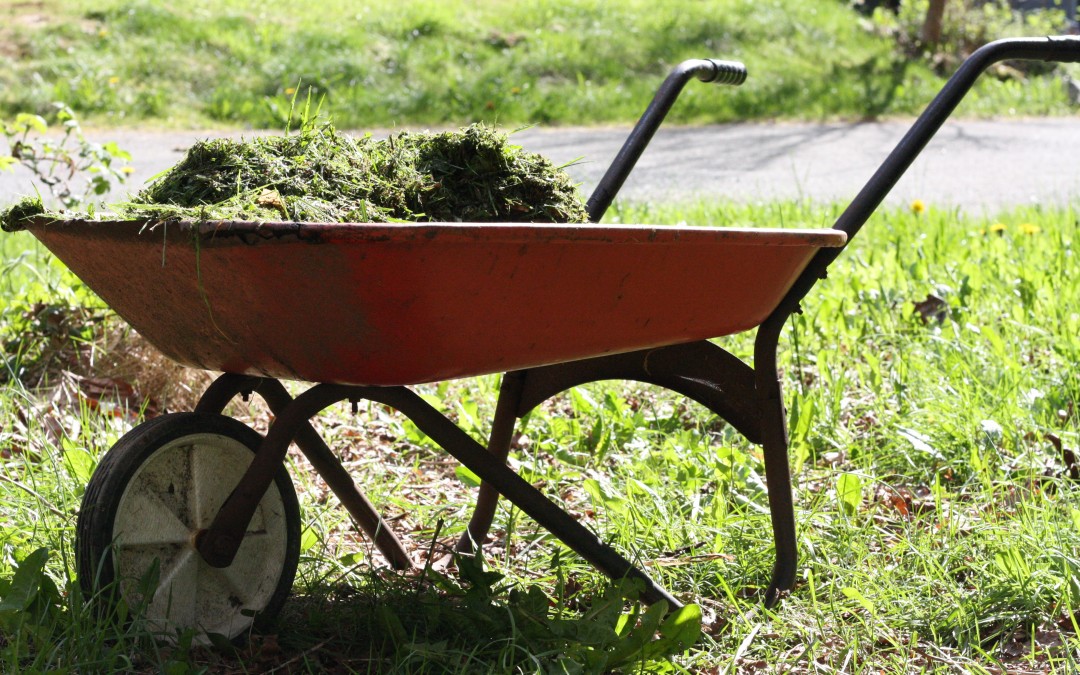 April 22nd – The Gift of a Wheelbarrow {Everyday Beauty}