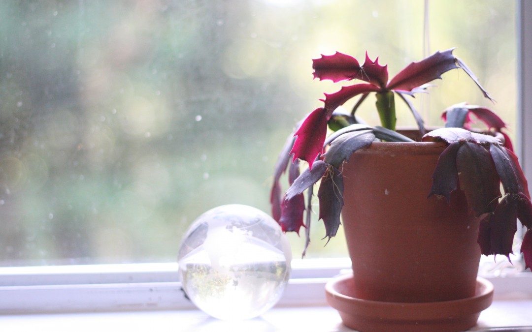 May 19th – A Tidy Windowsill {Everyday Beauty}