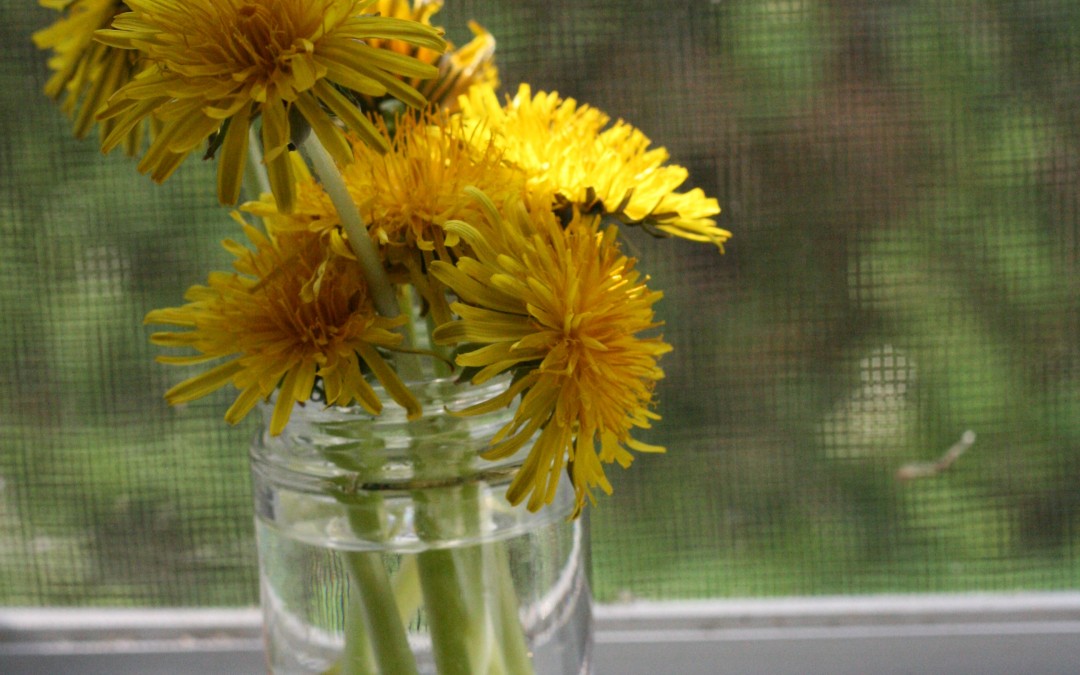 May 5th – Dandelion Gifts {Everyday Beauty}