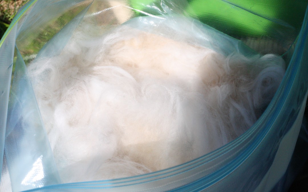 June 2nd – The Softness of Angora Wool {Everyday Beauty}