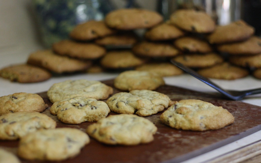 June 8th – Freshly Baked Cookies {Everyday Beauty}