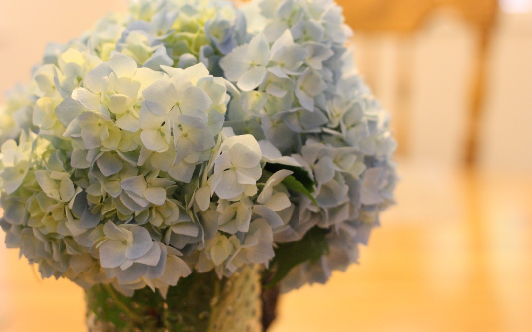 July 5th – Hydrangea Bouquets {Everyday Beauty}